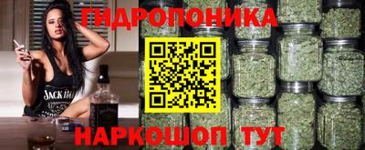 гашиш Камень-на-Оби