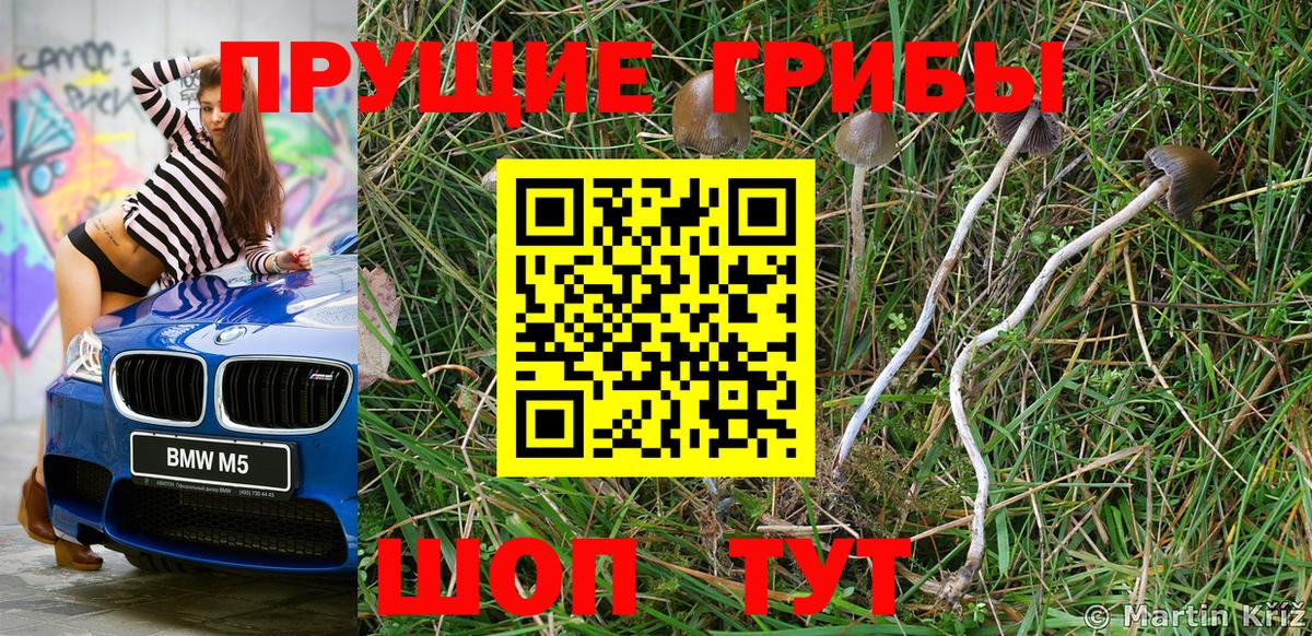 Псилоцибиновые грибы мухоморы Нефтеюганск